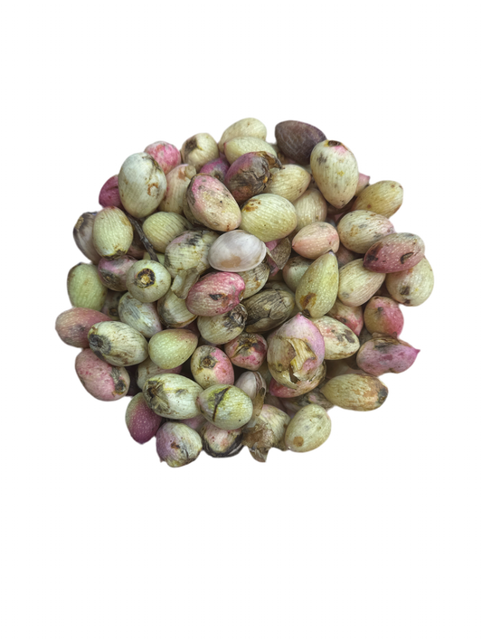 Fresh pistachios (per lb)