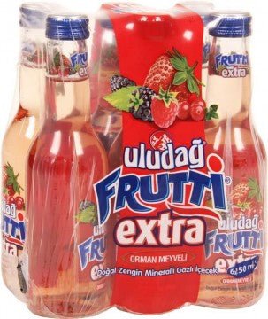 Uludağ Frutti Extra Orman Meyveli 250 Ml X 6 Adet Default Title